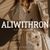 Обложка канала @ALIWITHRON