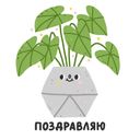 Набор стикеров «Домашние растения»